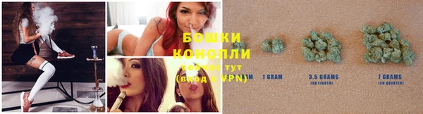 индика Козловка
