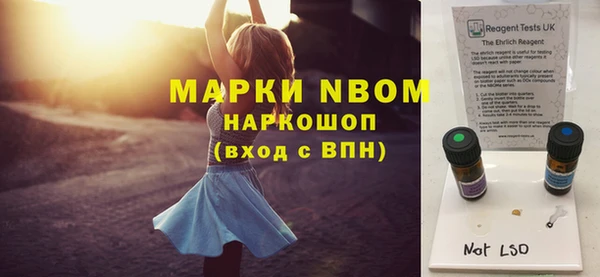 индика Козловка