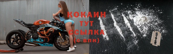 индика Киренск