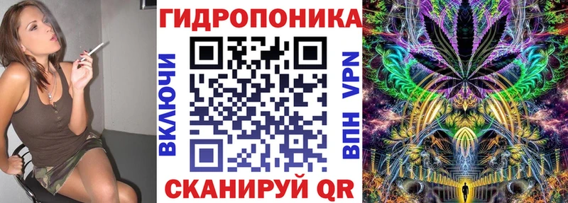 mega рабочий сайт  купить  цена  Макушино  Шишки марихуана индика 